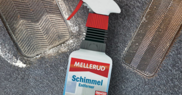 Auto Schimmel entfernen