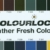 COLOURLOCK Glattleder Nachtönungs- und Pflegeset mild Farbe F034 - 