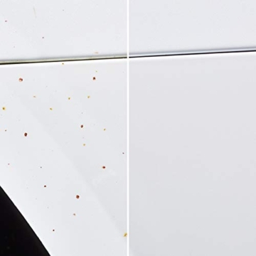 SONAX FlugrostEntferner (750 ml) entfernt aggressive Flugrost-Rückstände und Industriestaub von allen Lack- und lackierten Kunststoffoberflächen | Art-Nr. 05134000 - 6