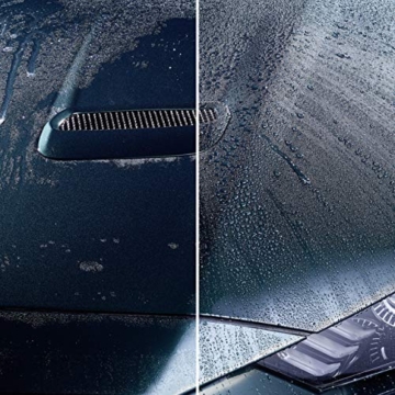 SONAX PROFILINE SpeedProtect (1 Liter) schützendes Schnellfinish für neue, neuwertige oder mit einer Politur aufbereitete Lackoberflächen | Art-Nr. 02884050 - 7