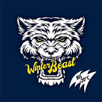SONAX WinterBeast AntiFrost+KlarSicht Gebrauchsfertig bis -20 °C (5 Liter) schneller, schlierenfreier und effektiver Scheibenreiniger für den Winter | Art-Nr. 01355000 - 8