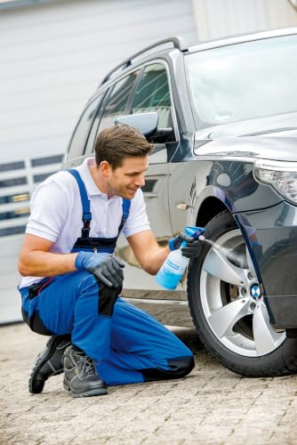 Gloria Sprühflasche CleanMaster Extreme EX 05 | 0,5 L für Desinfektion | Ölfester Sprüher für Isopropanol, Desinfektionsmittel & Reinigungsmittel | Pumpsprüher mit Doppelhub-Pumpe | FKM-Dichtung - 2